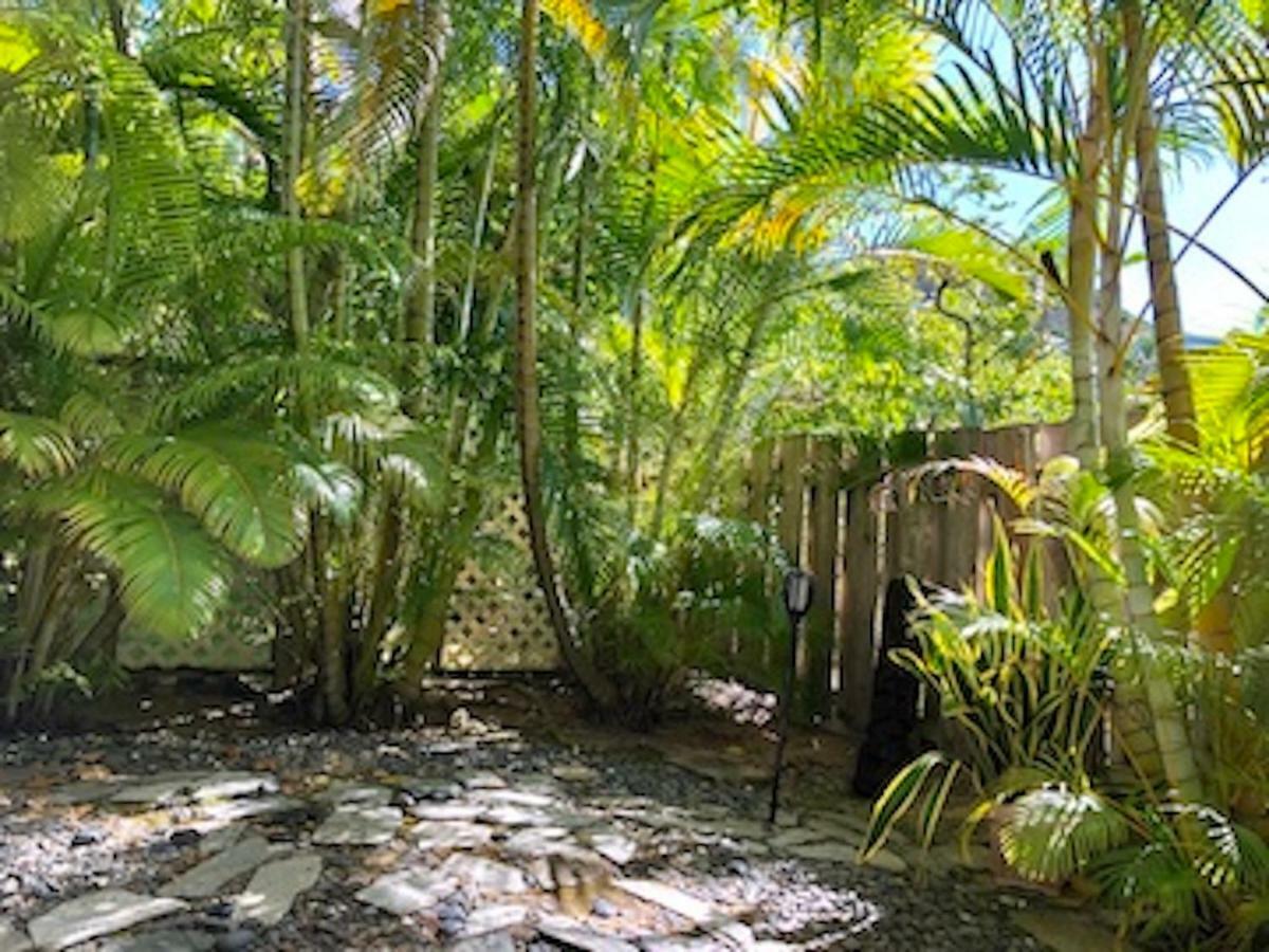 Lovely Relaxing Lanikai Studio, Legal Vacation Rental Kailua Ngoại thất bức ảnh